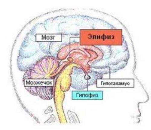 Какие признаки свидетельствуют о том, что Аджна чакра открыта. Как открыть Аджна чакру и развить сверхспособности