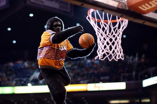 Новая жизнь за 4 шага: проверенные методы для перемен 04