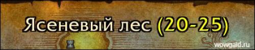 Какие способы прокачки существуют. Где качаться в WoW?