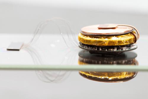 Какие новые методики лечения могут появиться благодаря изучению мозга с помощью искусственного интеллекта. Без границ